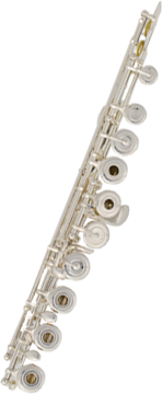 Mechanism