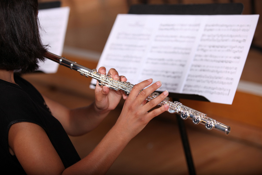 North Bridge Instruments The North Bridge Story