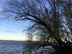 Hard to say goodbye to this hotel.