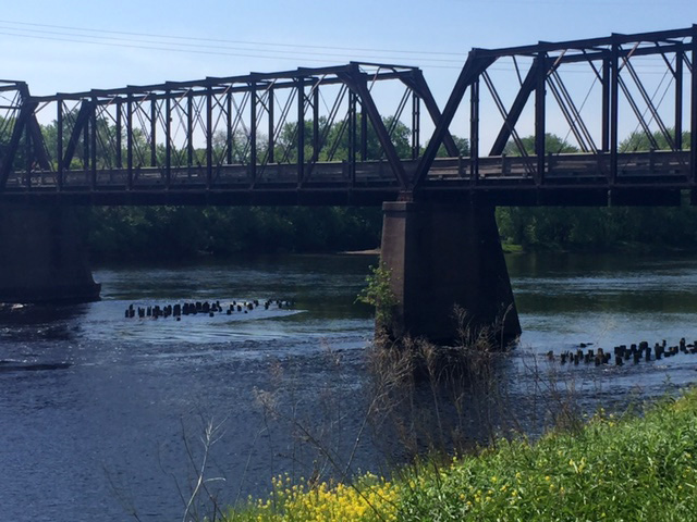 Paul's 2015 Retrospective Tour Video